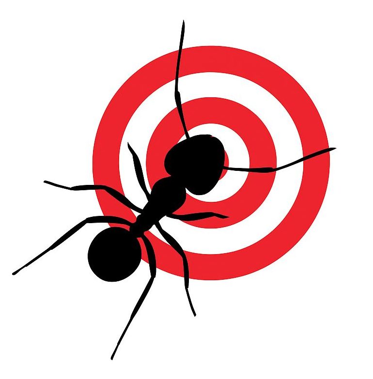 Termite Control Service UAE