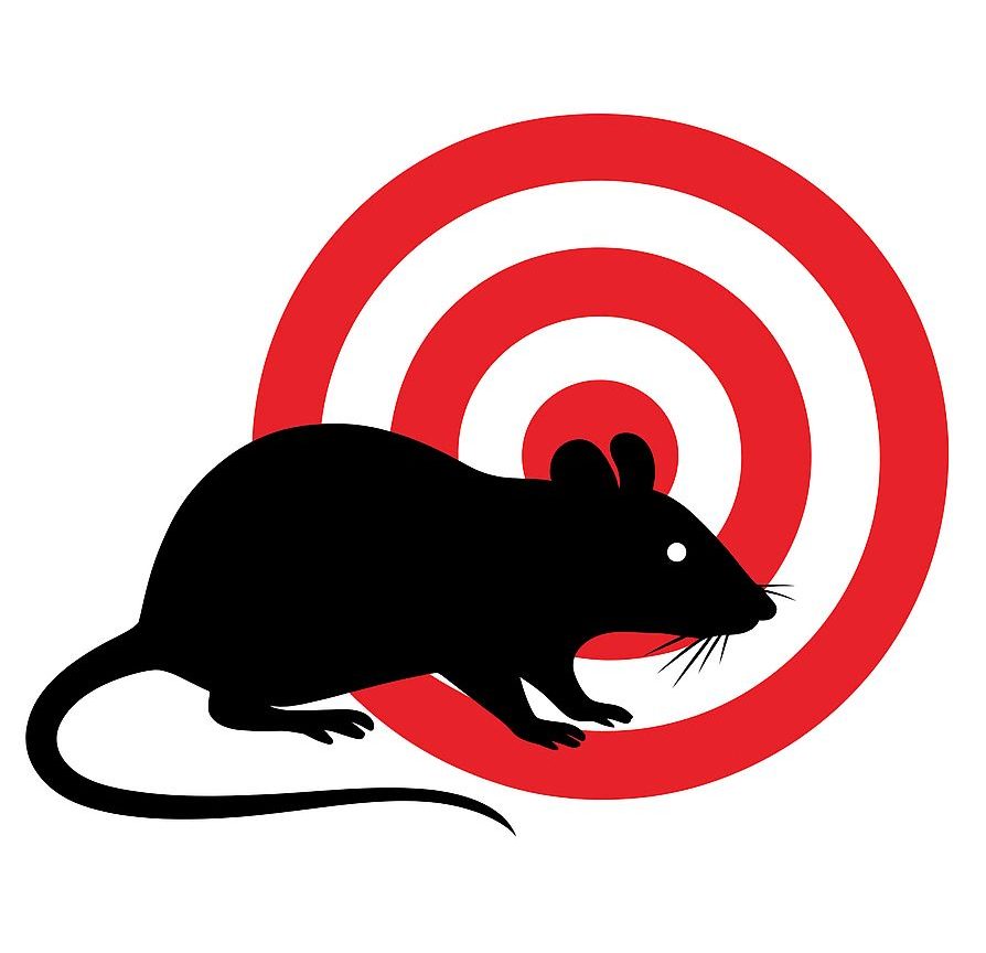 Rodent Control Icon