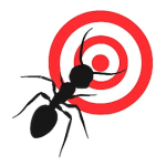 Professional ant control service in Dubai by Catch Pest Control – Safe and effective ant removal solutions for homes and businesses